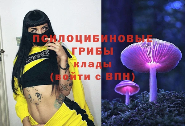гашишное масло Михайлов